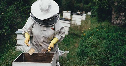 The best backup power for Mobile Beekeeper - iForway