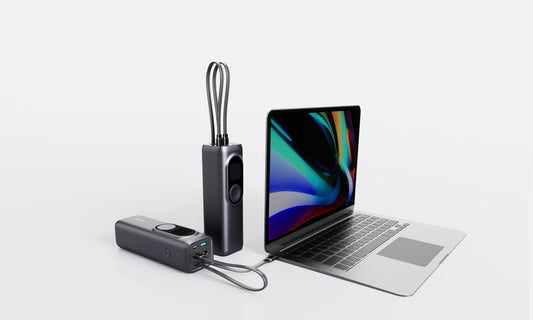 Rinecopo Power Bank Market, by Battery Type